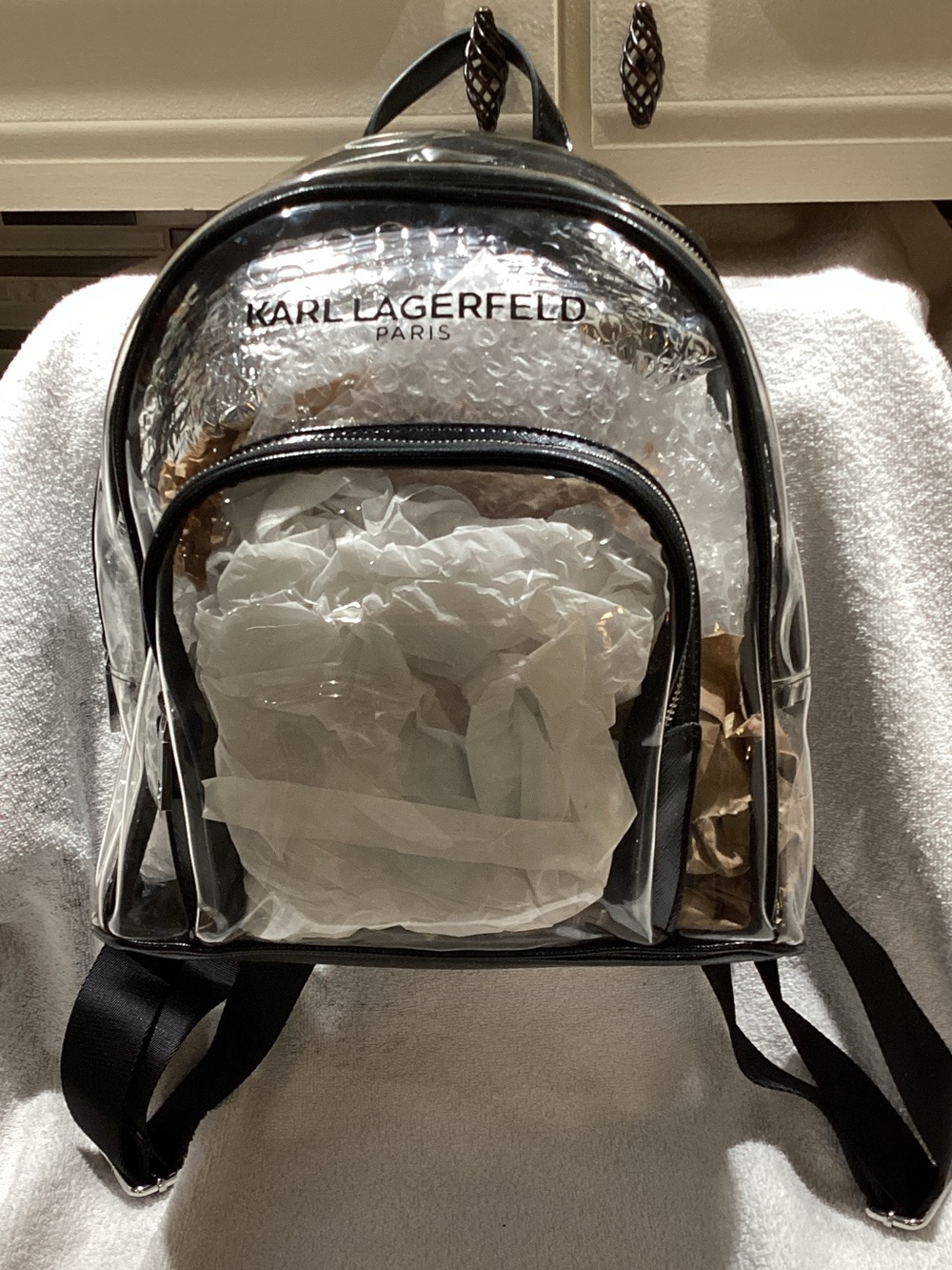 Karl Lagerfeld Clear PVC Mini Backpack with Black Trim